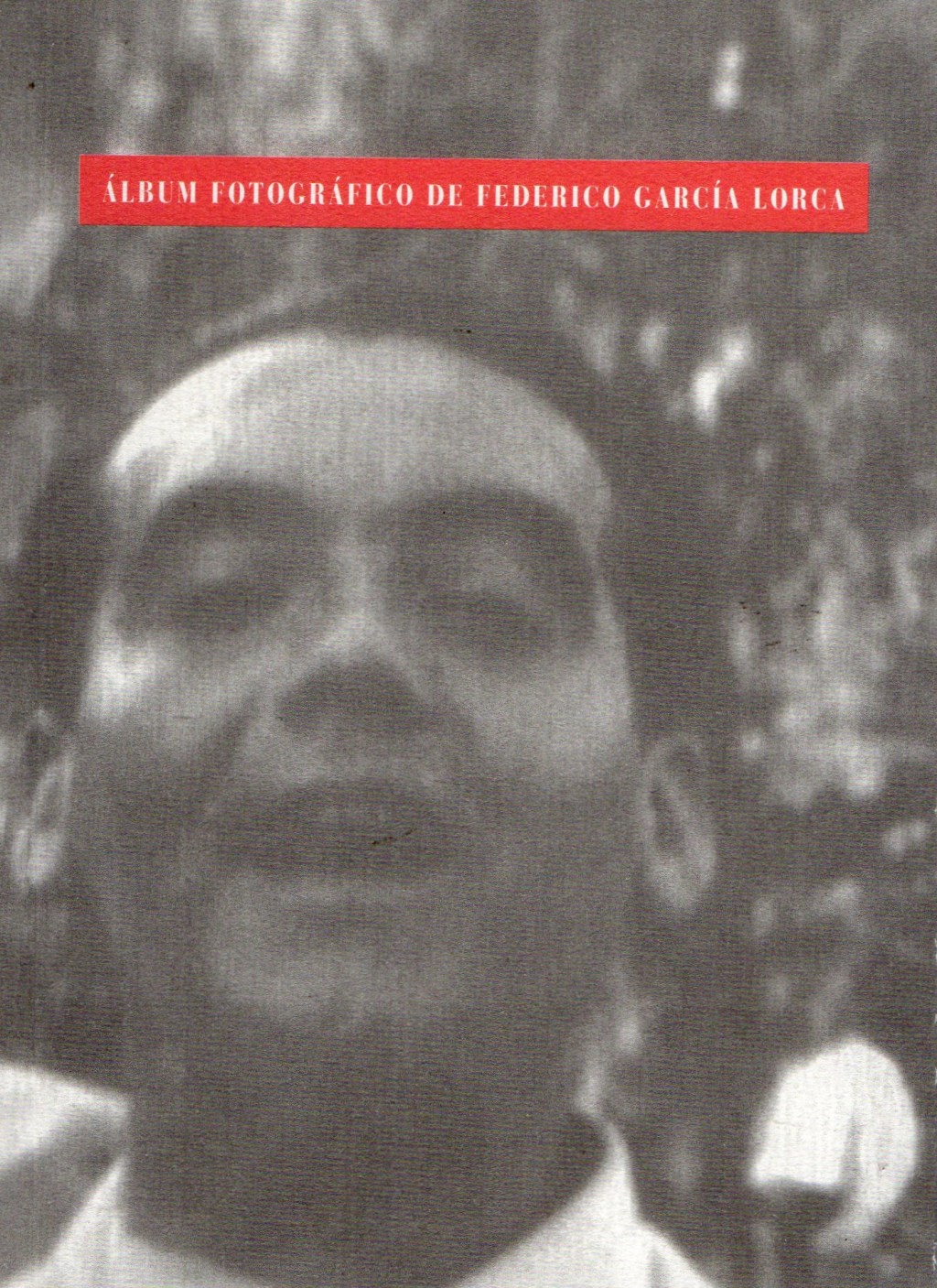 Álbum fotográfico de Federico García Lorca, de Gonzalo Armero y Manuel Fernández Montesinos&nbsp;(eds.)