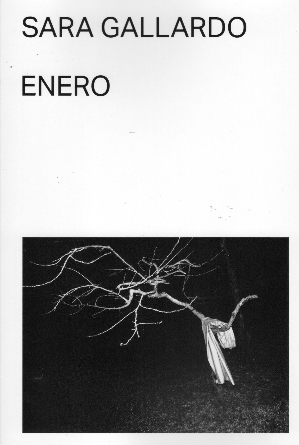 Enero, de Sara&nbsp;Gallardo